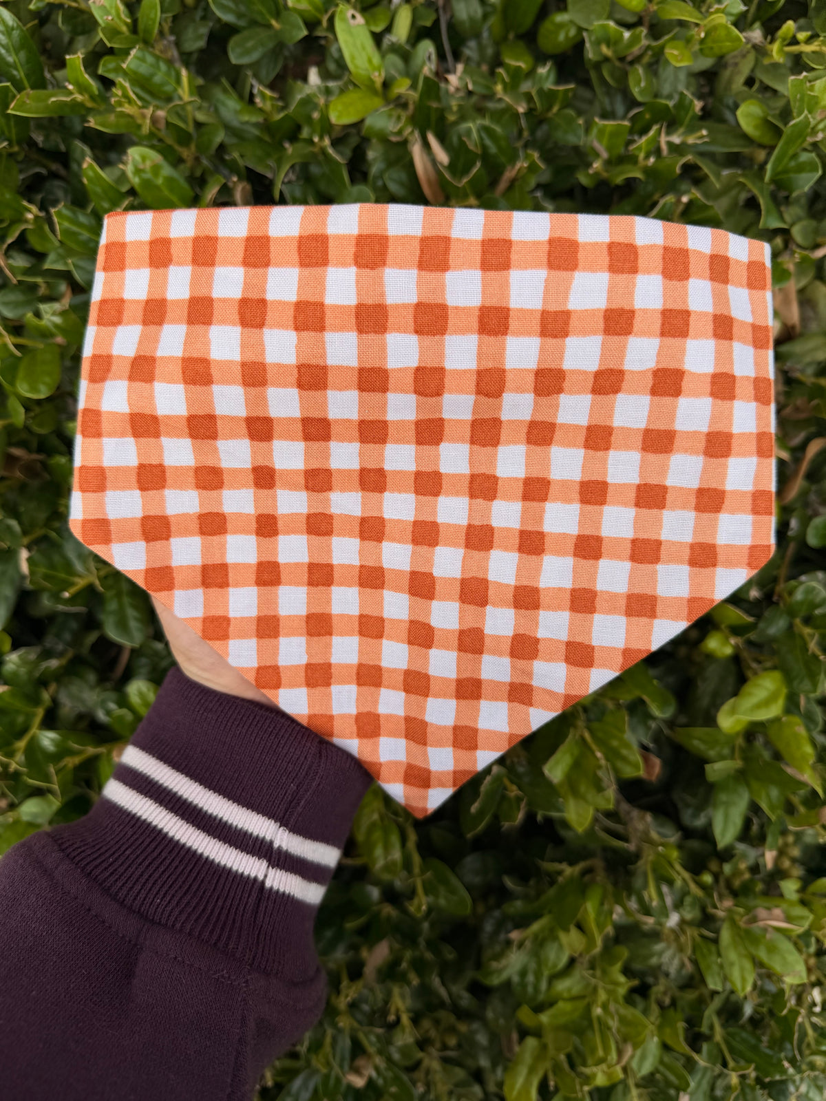 Pumpkin Gingham