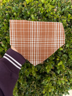Brown Plaid