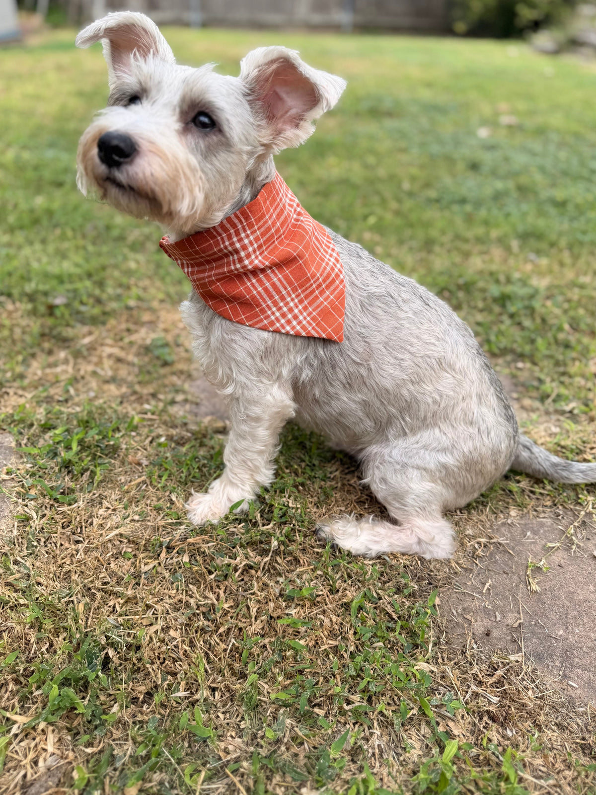 Rust Plaid