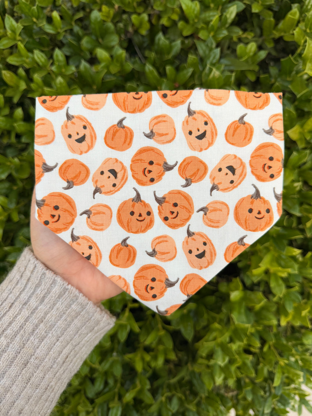 Pumpkin Paws - White