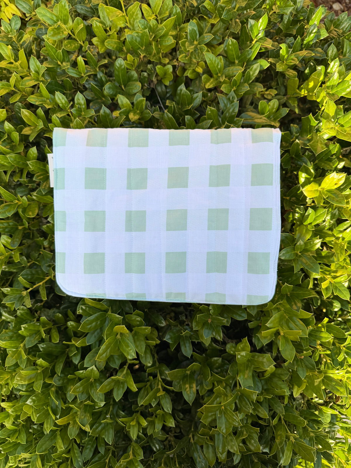 Meadow Mint Clutch