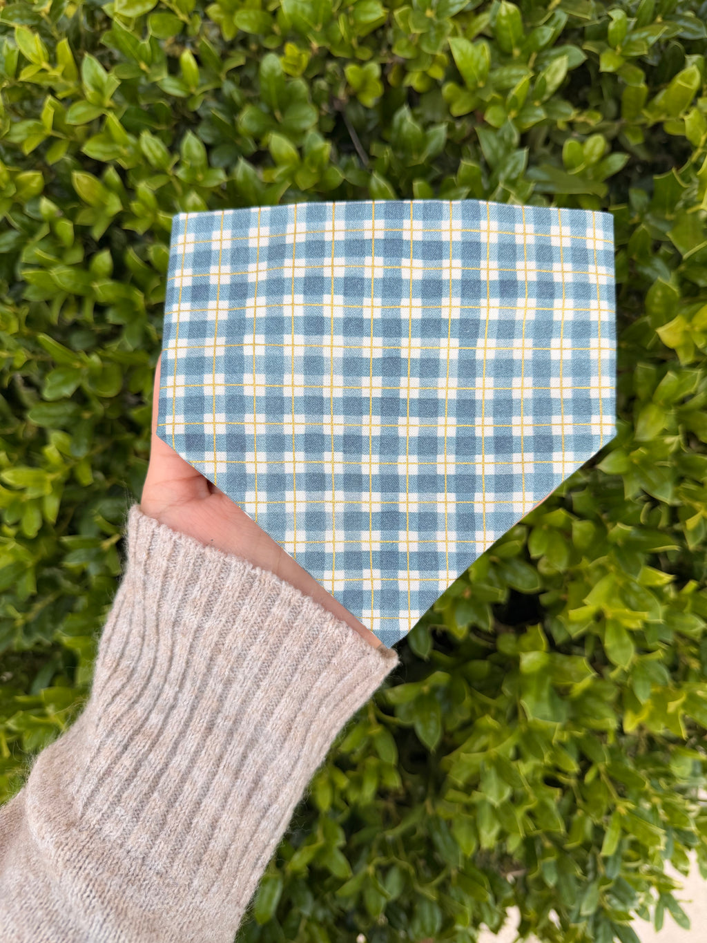 Bluebonnet Plaid