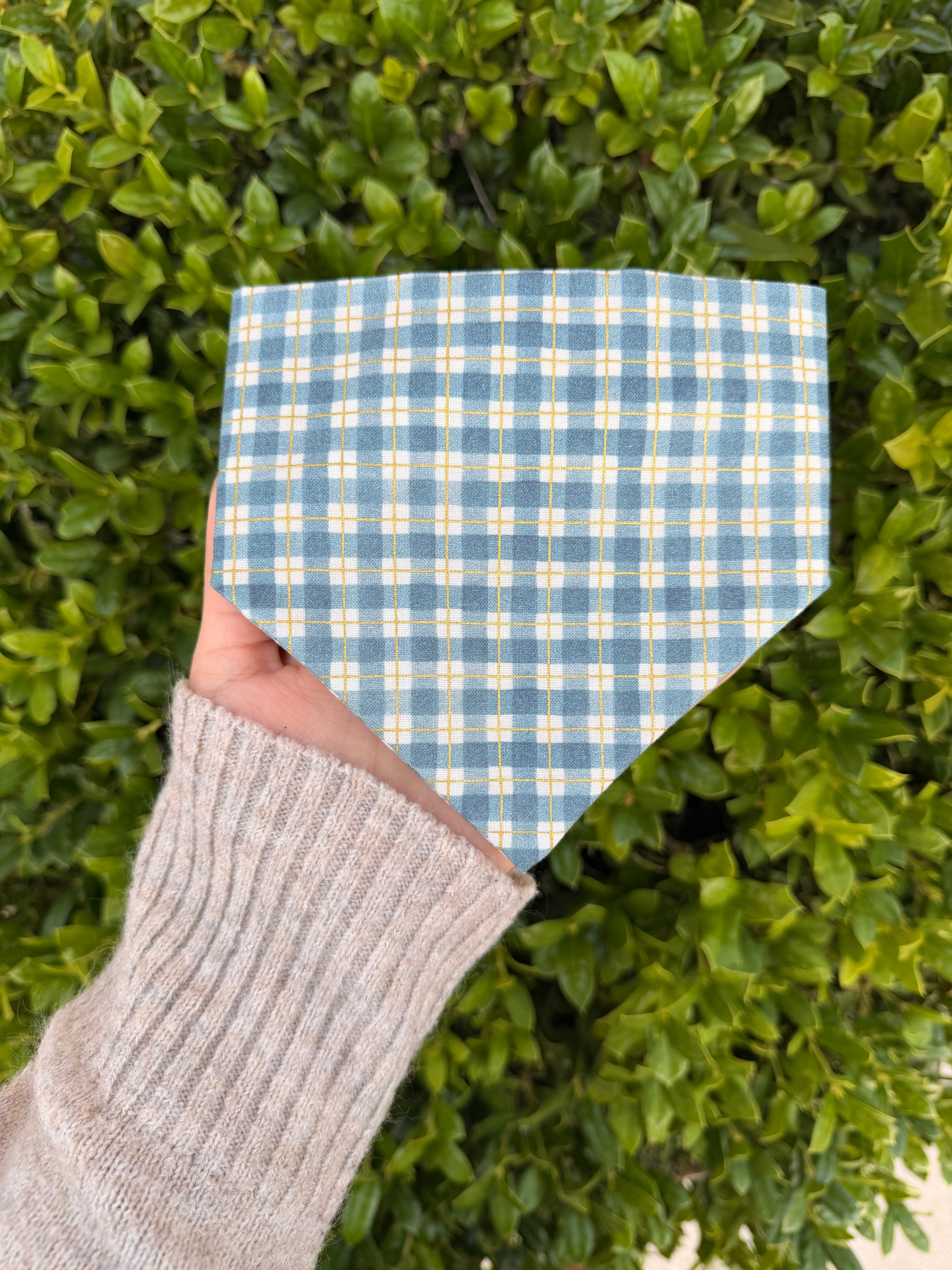 Bluebonnet Plaid